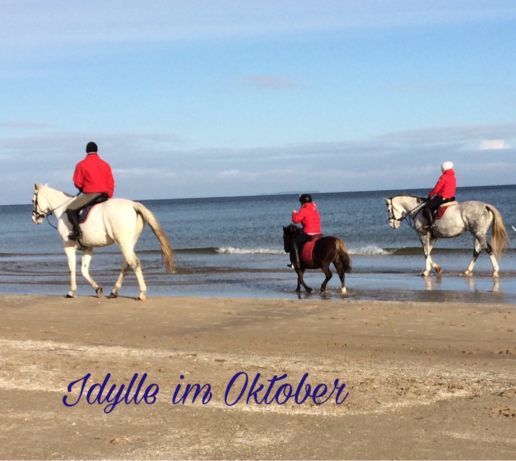 Idylle pur zu jeder Jahreszeit