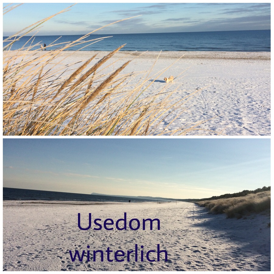 ... auch im Winter ein Erlebnis