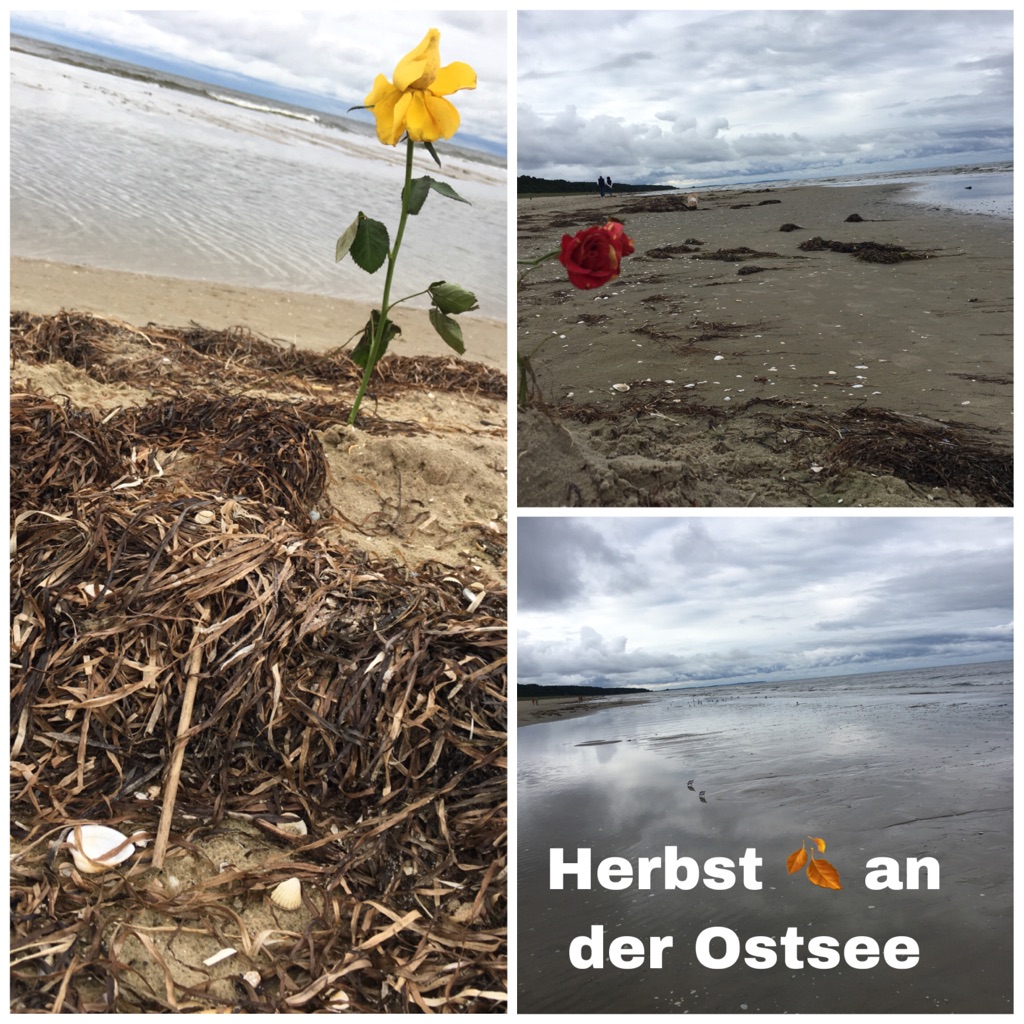 Strand im Herbst