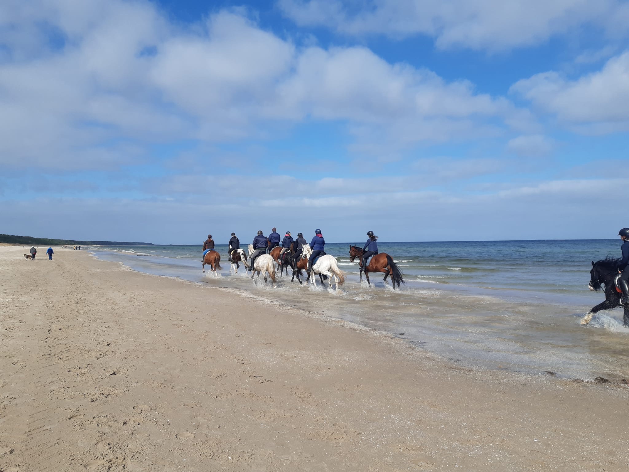 Reiten am Strand